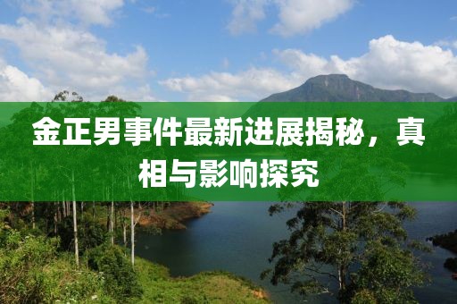 金正男事件最新進(jìn)展揭秘，真相與影響探究