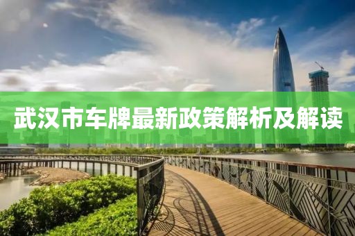 武漢市車牌最新政策解析及解讀
