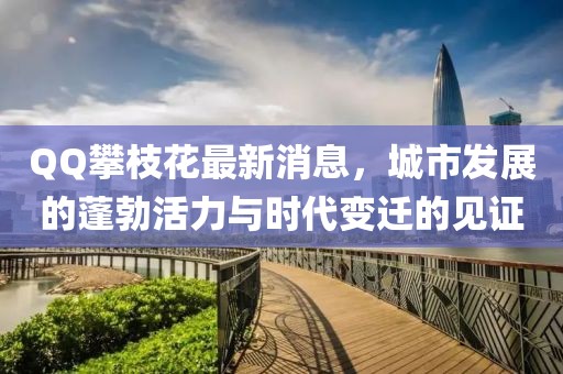 QQ攀枝花最新消息，城市發(fā)展的蓬勃活力與時代變遷的見證