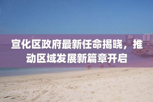 宣化區(qū)政府最新任命揭曉，推動區(qū)域發(fā)展新篇章開啟