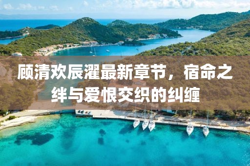 顧清歡辰濯最新章節(jié)，宿命之絆與愛恨交織的糾纏