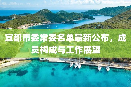 宜都市委常委名單最新公布，成員構(gòu)成與工作展望