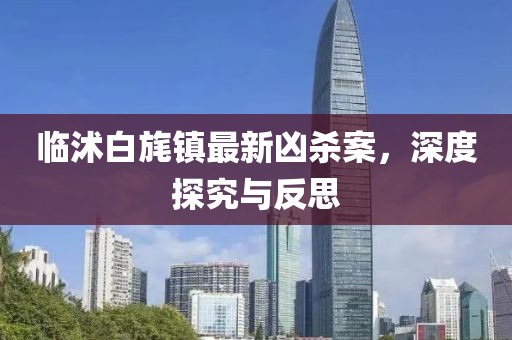 臨沭白旄鎮(zhèn)最新兇殺案，深度探究與反思