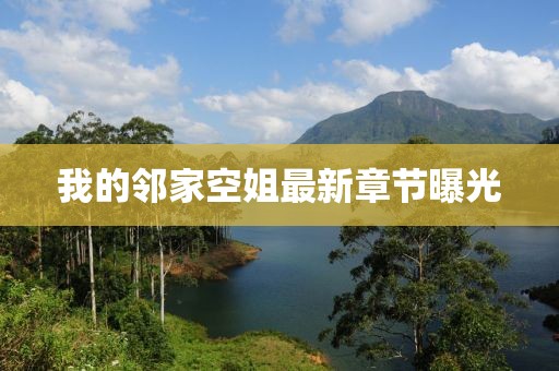 我的鄰家空姐最新章節(jié)曝光