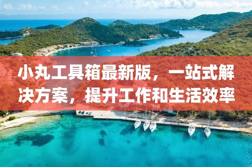小丸工具箱最新版，一站式解決方案，提升工作和生活效率