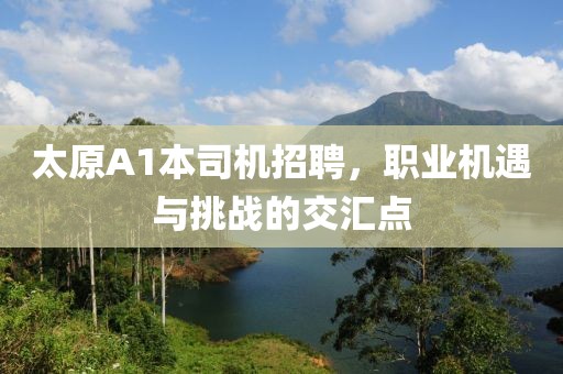 太原A1本司機(jī)招聘，職業(yè)機(jī)遇與挑戰(zhàn)的交匯點(diǎn)