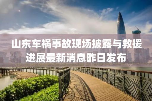 山東車禍事故現(xiàn)場披露與救援進展最新消息昨日發(fā)布