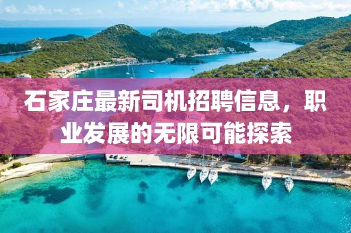 石家莊最新司機招聘信息，職業(yè)發(fā)展的無限可能探索