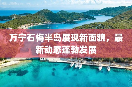 萬寧石梅半島展現(xiàn)新面貌，最新動態(tài)蓬勃發(fā)展