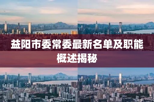 益陽(yáng)市委常委最新名單及職能概述揭秘