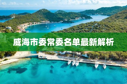威海市委常委名單最新解析