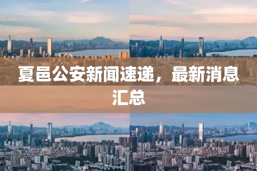 夏邑公安新聞速遞，最新消息匯總