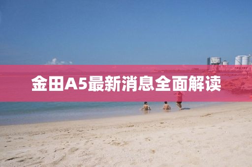 金田A5最新消息全面解讀