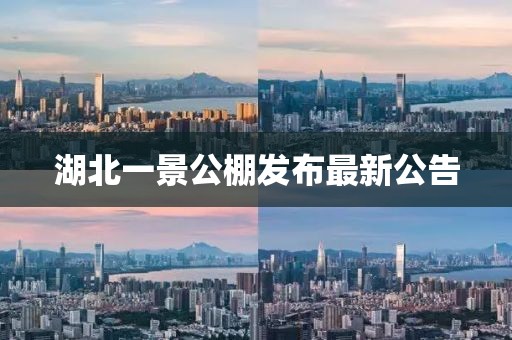 湖北一景公棚發(fā)布最新公告