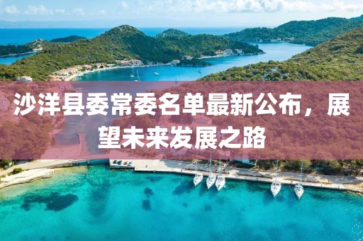 沙洋縣委常委名單最新公布，展望未來發(fā)展之路