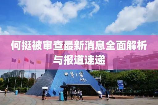何挺被審查最新消息全面解析與報(bào)道速遞