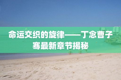 命運(yùn)交織的旋律——丁念曹子騫最新章節(jié)揭秘