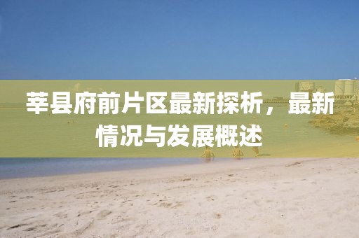 莘縣府前片區(qū)最新探析，最新情況與發(fā)展概述