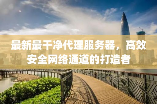 最新最干凈代理服務(wù)器，高效安全網(wǎng)絡(luò)通道的打造者