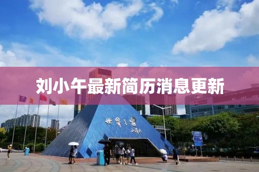 劉小午最新簡(jiǎn)歷消息更新