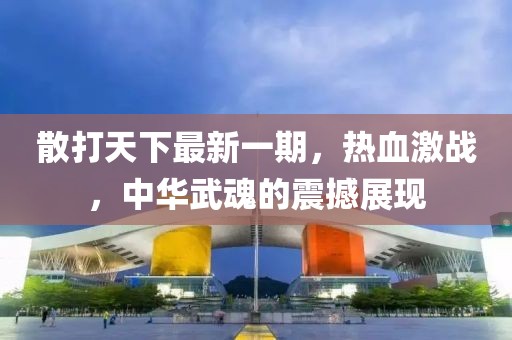 散打天下最新一期，熱血激戰(zhàn)，中華武魂的震撼展現(xiàn)