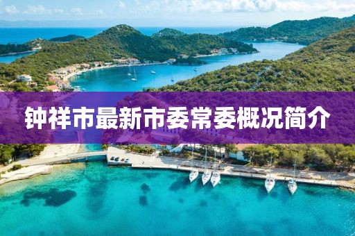 鐘祥市最新市委常委概況簡介