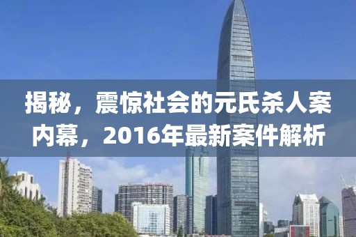 揭秘，震驚社會的元氏殺人案內(nèi)幕，2016年最新案件解析