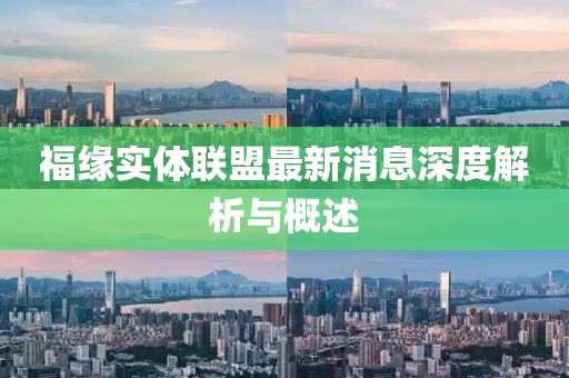 福緣實(shí)體聯(lián)盟最新消息深度解析與概述