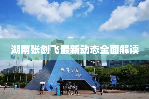 湖南張劍飛最新動(dòng)態(tài)全面解讀