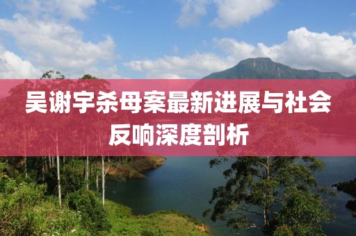 吳謝宇殺母案最新進(jìn)展與社會(huì)反響深度剖析