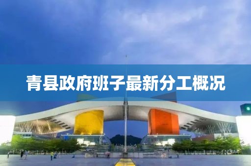 青縣政府班子最新分工概況
