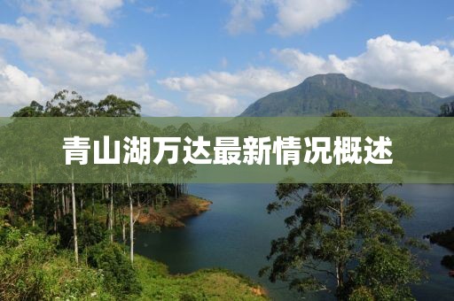 青山湖萬(wàn)達(dá)最新情況概述