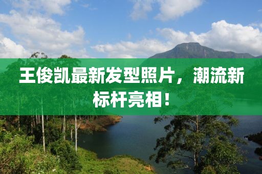王俊凱最新發(fā)型照片，潮流新標(biāo)桿亮相！