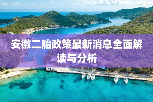 安徽二胎政策最新消息全面解讀與分析