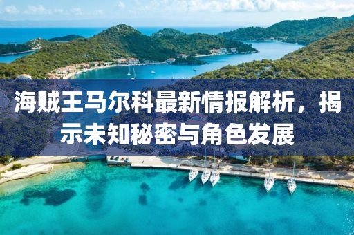 海賊王馬爾科最新情報解析，揭示未知秘密與角色發(fā)展