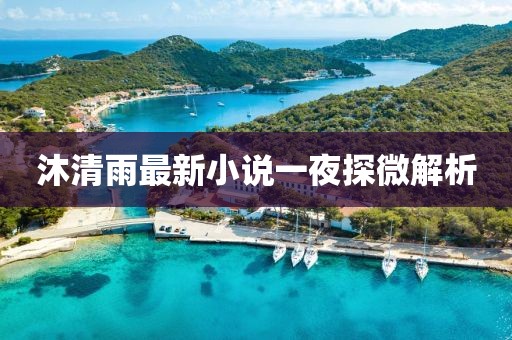 沐清雨最新小說一夜探微解析
