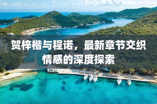 賀梓楷與程諾，最新章節(jié)交織情感的深度探索
