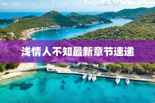 淺情人不知最新章節(jié)速遞