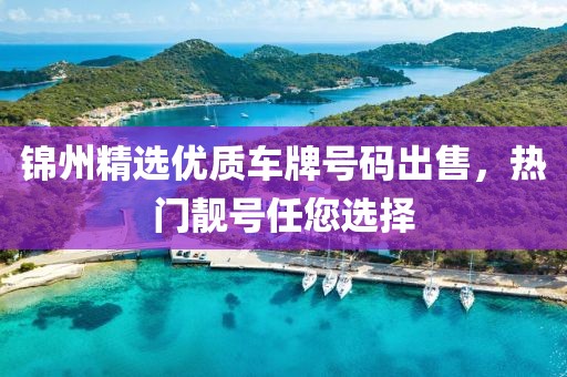 錦州精選優(yōu)質(zhì)車(chē)牌號(hào)碼出售，熱門(mén)靚號(hào)任您選擇