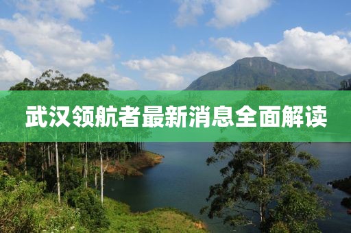 武漢領(lǐng)航者最新消息全面解讀