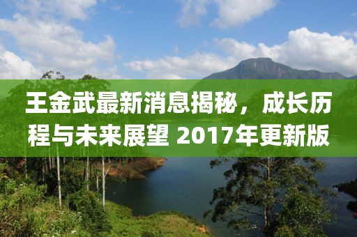 王金武最新消息揭秘，成長歷程與未來展望 2017年更新版