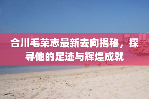 合川毛榮志最新去向揭秘，探尋他的足跡與輝煌成就
