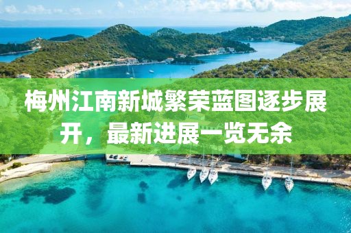 2025年1月15日