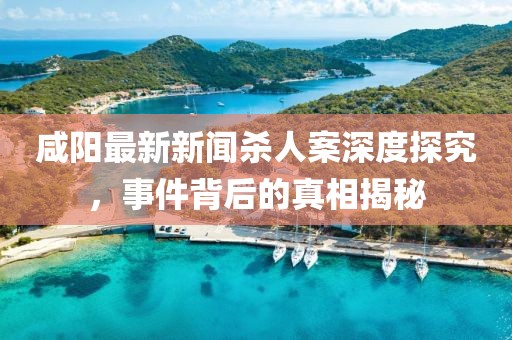 咸陽最新新聞殺人案深度探究，事件背后的真相揭秘