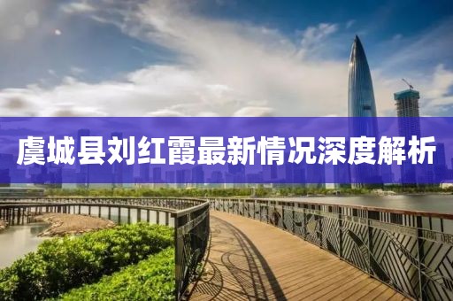 虞城縣劉紅霞最新情況深度解析