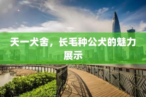 天一犬舍，長毛種公犬的魅力展示