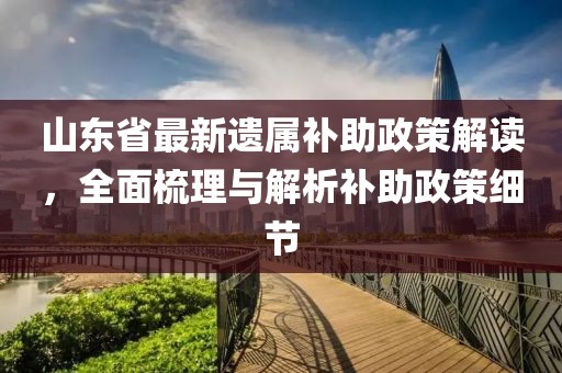 山東省最新遺屬補(bǔ)助政策解讀，全面梳理與解析補(bǔ)助政策細(xì)節(jié)