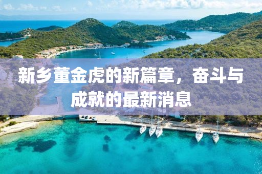 新鄉(xiāng)董金虎的新篇章，奮斗與成就的最新消息