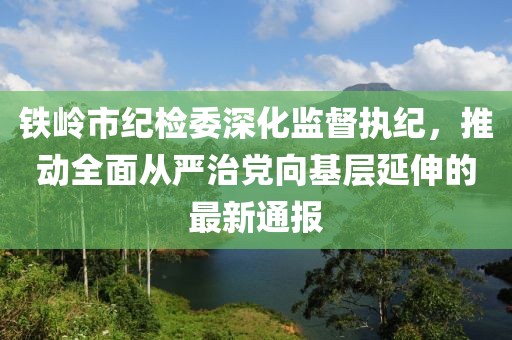 鐵嶺市紀(jì)檢委深化監(jiān)督執(zhí)紀(jì)，推動(dòng)全面從嚴(yán)治黨向基層延伸的最新通報(bào)