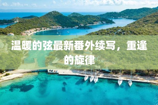 溫暖的弦最新番外續(xù)寫，重逢的旋律